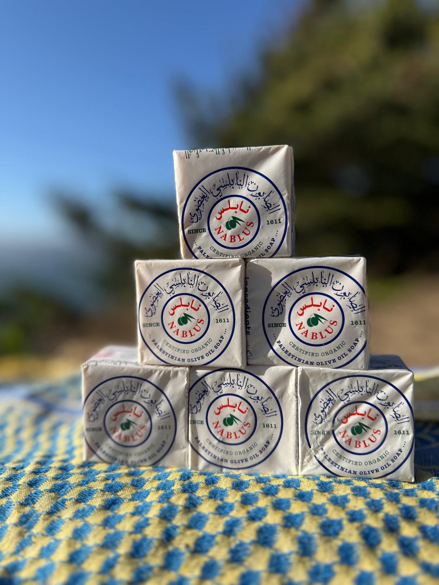 Traditional Palestinian Olive Oil Soap | 6 Pack | Natural Castile Bar Soap | Crafted in Nablus, Palestine.